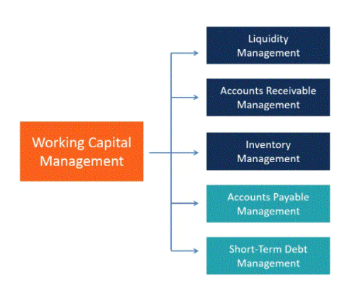 Working Capital Management