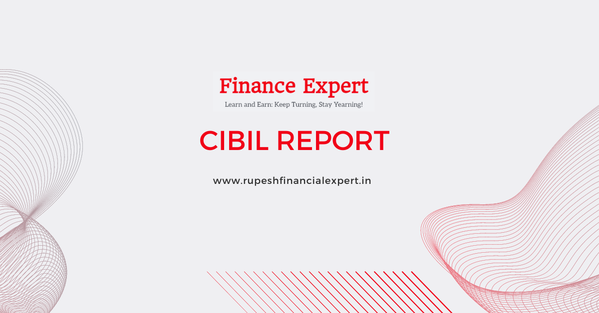 CIBIL Report