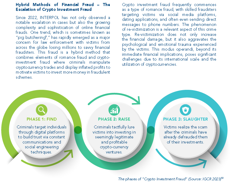 Interpol Global Financial Fraud Assessment