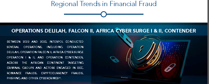 Interpol Global Financial Fraud Assessment