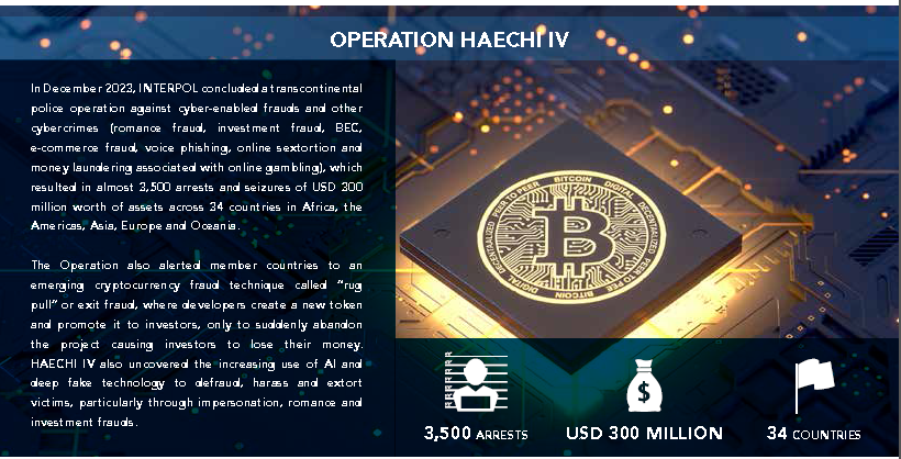 Interpol Global Financial Fraud Assessment