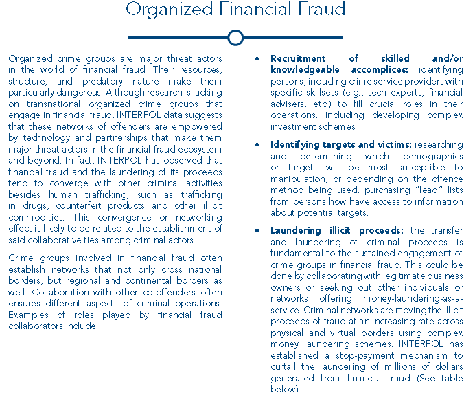 Interpol Global Financial Fraud Assessment