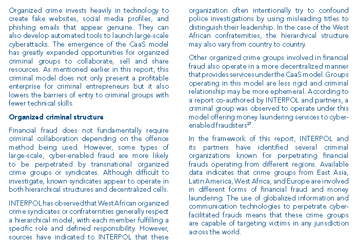 Interpol Global Financial Fraud Assessment