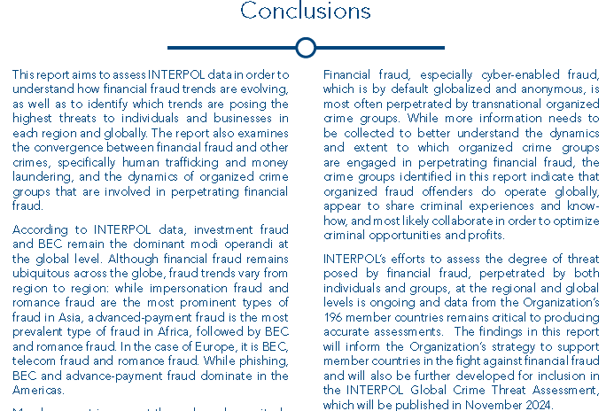 Interpol Global Financial Fraud Assessment