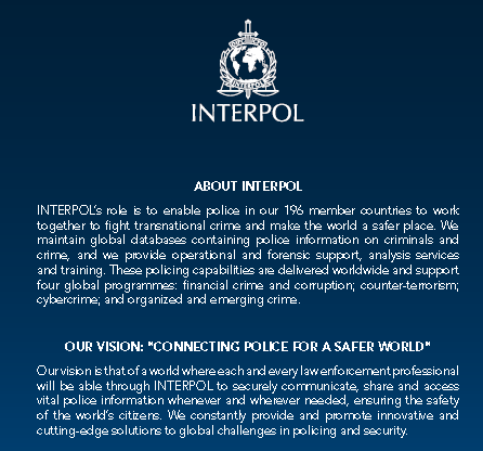 Interpol Global Financial Fraud Assessment