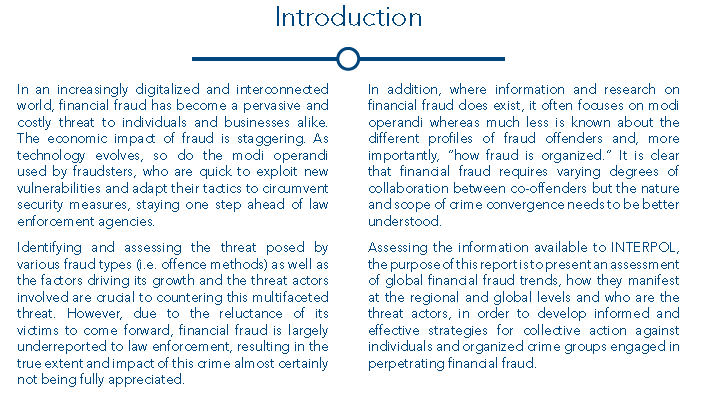 Interpol Global Financial Fraud Assessment