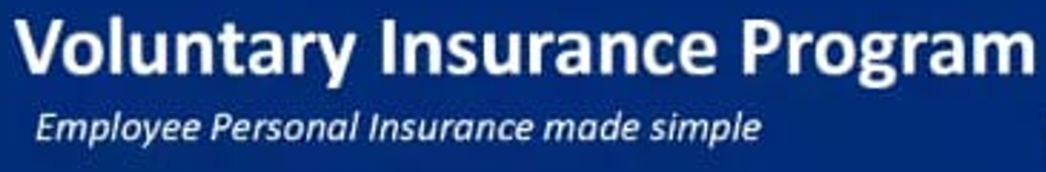  Voluntary Insurance Plans: Benefits & Option