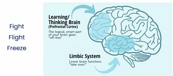 Mental Awareness: Understanding & Improving Your Well-being