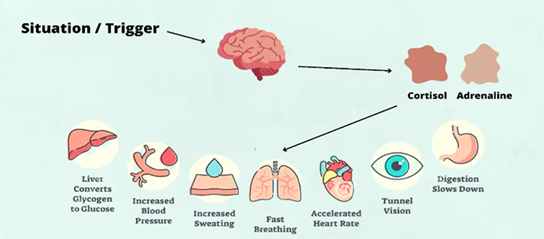 Mental Awareness: Understanding & Improving Your Well-being